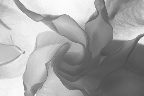 Swirled
